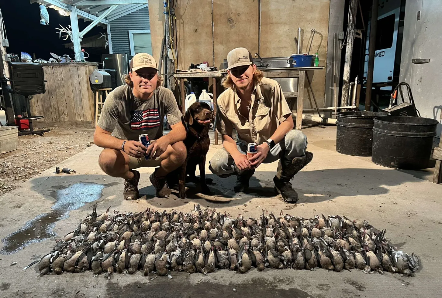 Premier South Texas Dove Hunts with 4 Bar C Outdoors