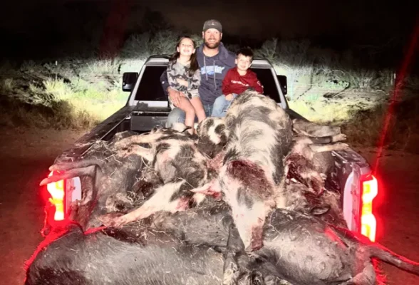Thermal Hog Hunts