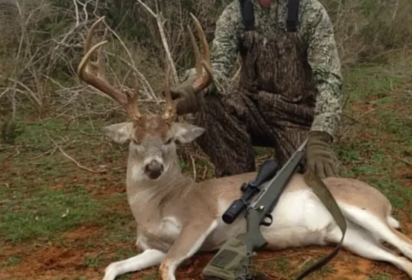 Whitetail (Low Fence)